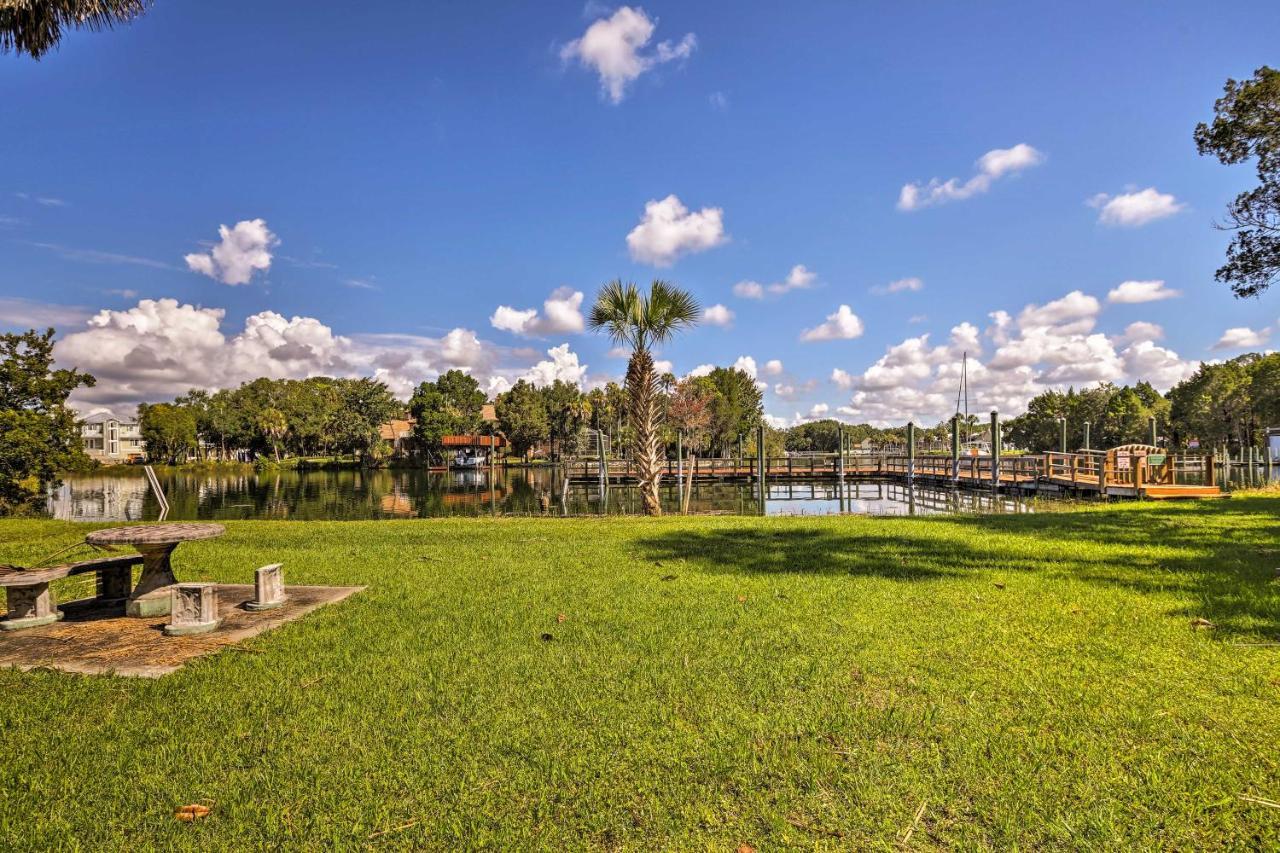 Crystal River House Scalloping And Dock, Gulf 7 Mi! Zewnętrze zdjęcie